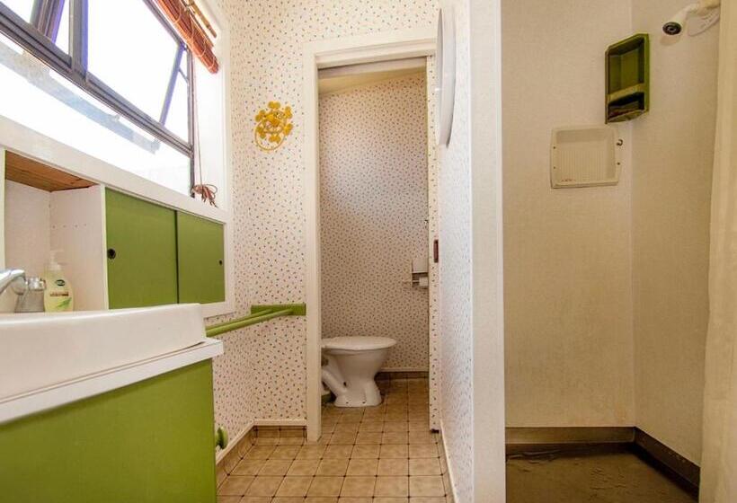 Vintage Pohutukawa   Whangamata Bach