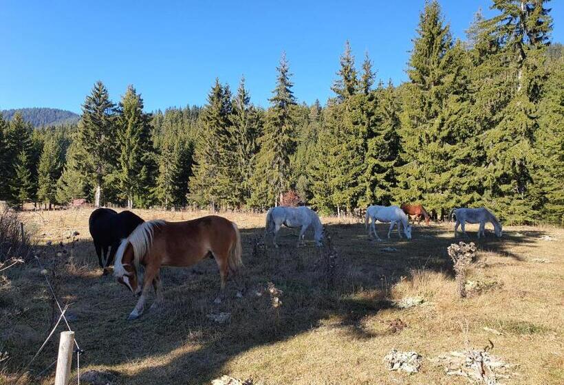 апартамент лейк вю, вила флора, комплекс маунтин лейк