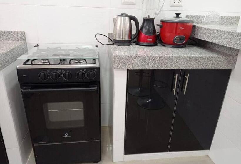 Apartamento Amoblado En Tacna