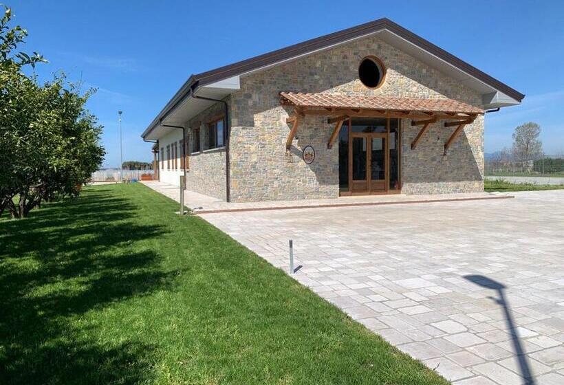 B & B Vigna Di Filippo   Paestum