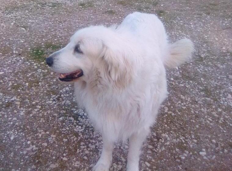 צימר Le Domaine De Belle