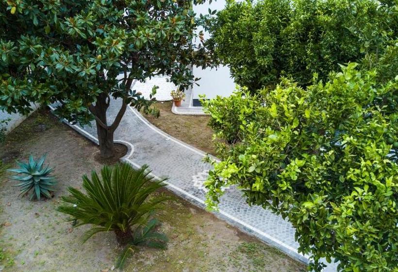 민박 Maison De Julia Pompei