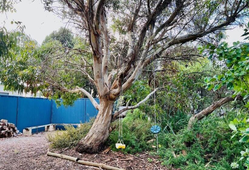 Da Ja Surf   Pet Friendly