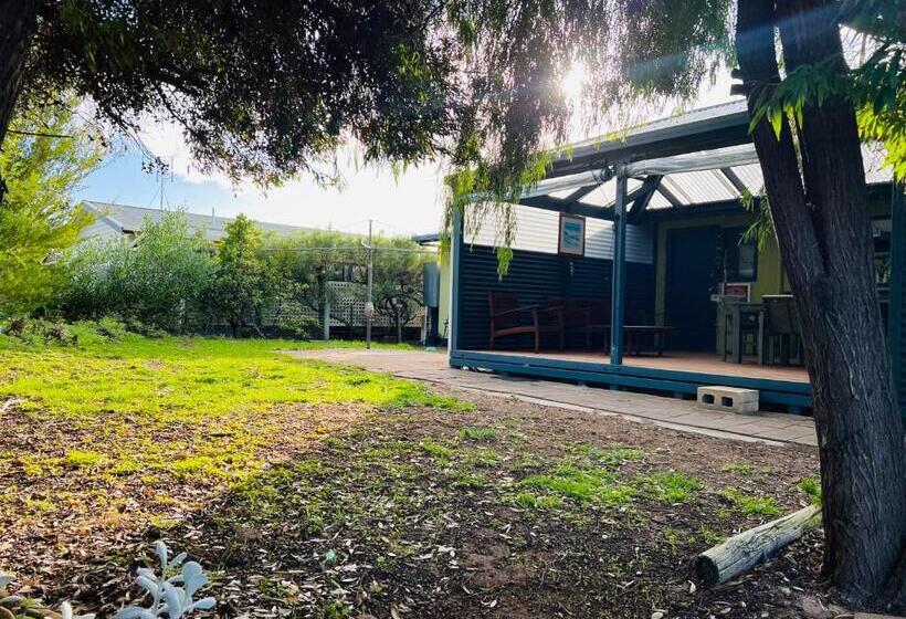 Da Ja Surf   Pet Friendly