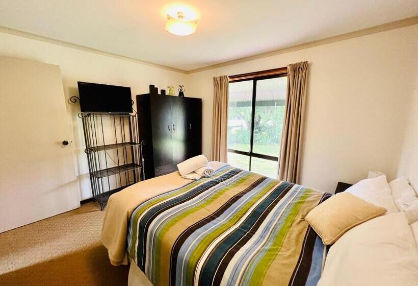 Da Ja Surf   Pet Friendly