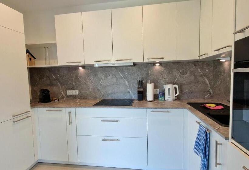 Exklusive Ferienwohnung Am Prielerweg In Hinterstoder