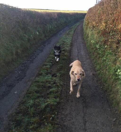 Farmer Bob S Farmhouse