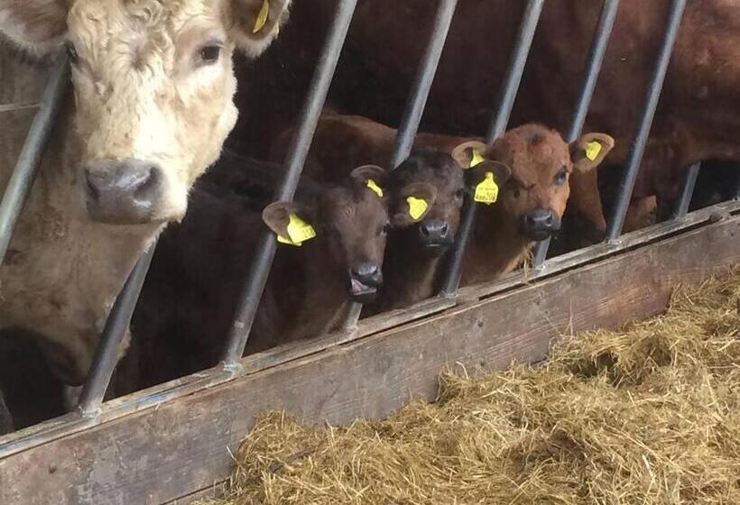 Farmer Bob S Farmhouse