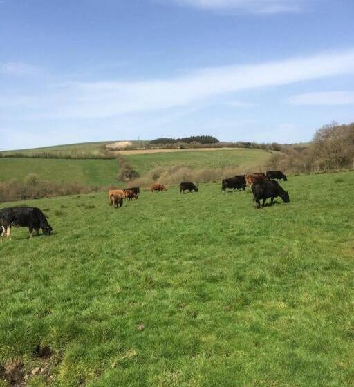 Farmer Bob S Farmhouse