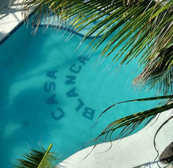 Отель Paraíso Casa Blanca