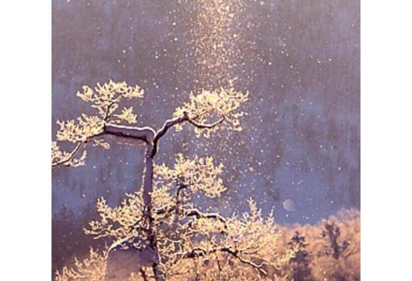 فندق furano natulux hotel   Vacation Stay 68187v