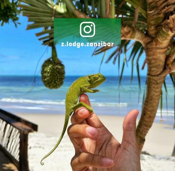Отель Z Lodge Zanzibar