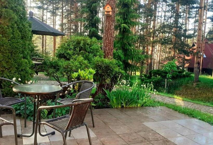 Kraljevi Konaci   Vila Zelena Dolina   Zlatibor