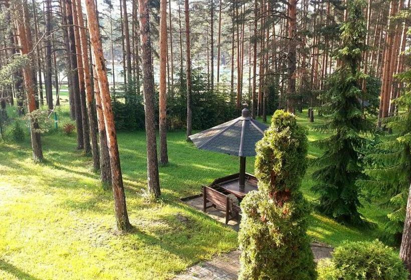 Kraljevi Konaci   Vila Zelena Dolina   Zlatibor