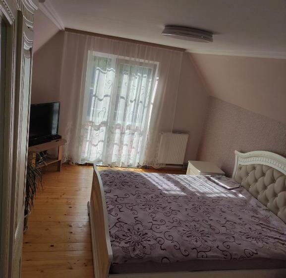 پانسیون карпати котедж анастасія