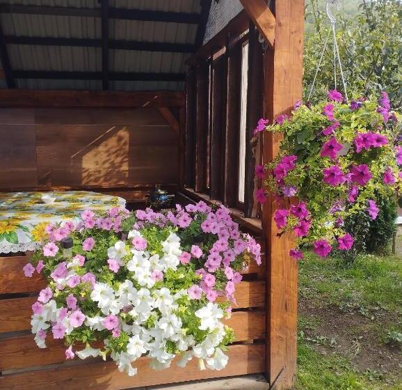 پانسیون карпати котедж анастасія