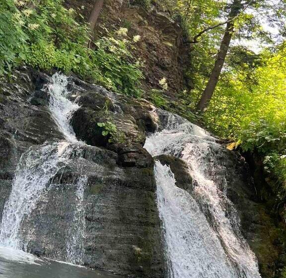 پانسیون карпати котедж анастасія