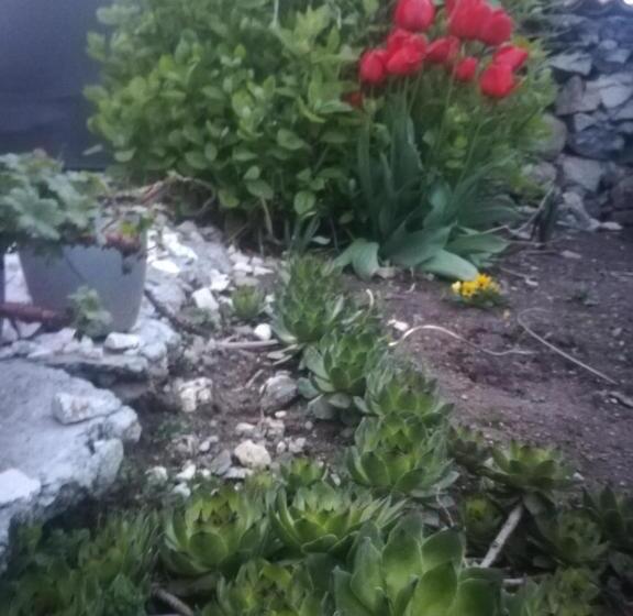 פנסיון къща христини