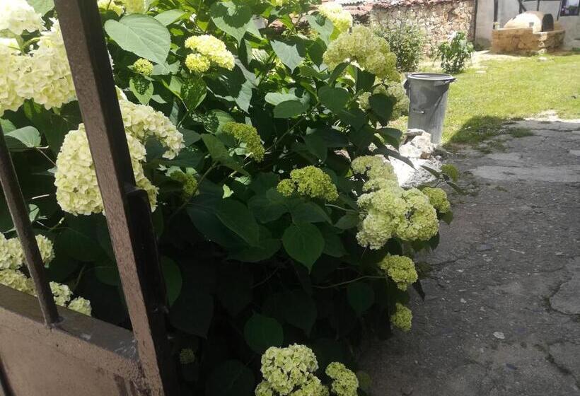 פנסיון къща христини