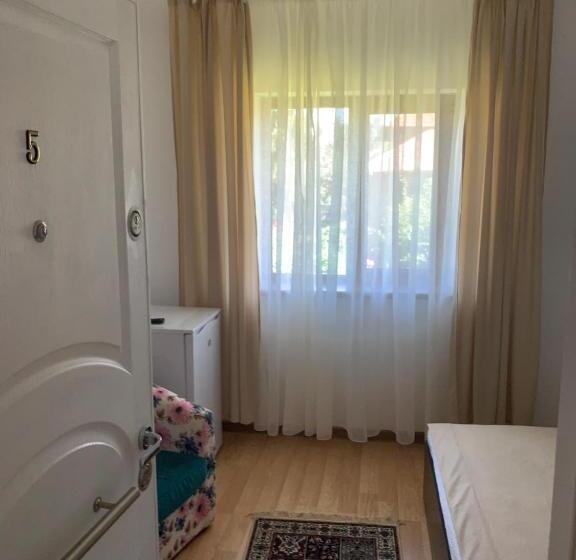 פנסיון Casa Roa