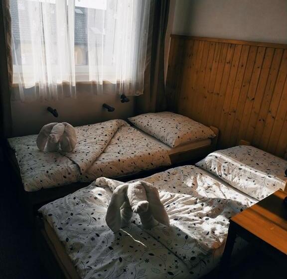 פנסיון Penzion Vysočina