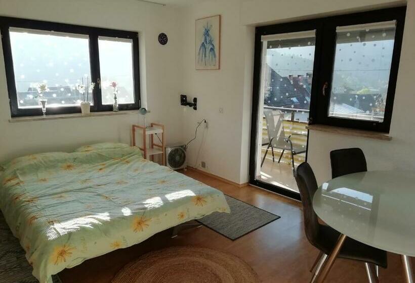 پانسیون Room Panorama