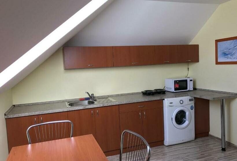 Пансион Ubytovňa Gemini