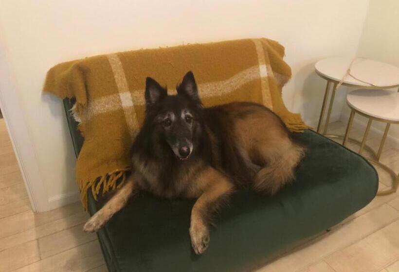 Pet Friendly Home With Pool And Boat Parking