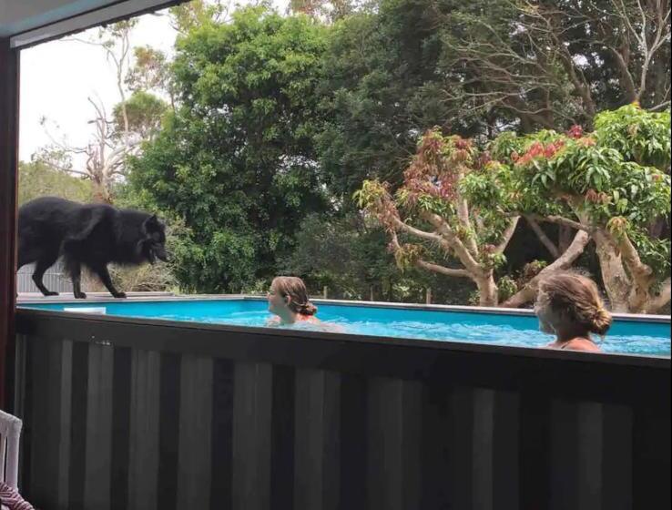 Pet Friendly Home With Pool And Boat Parking