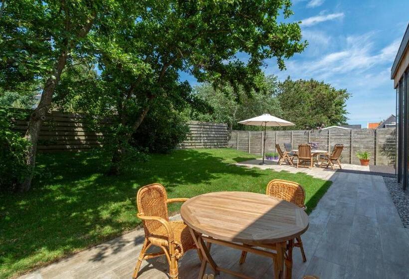 Attractive Home With Terrace