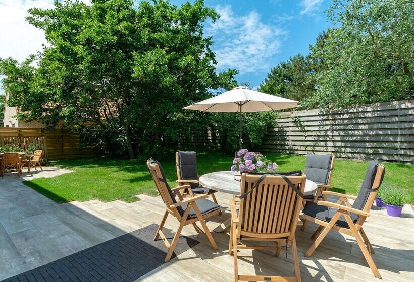 Attractive Home With Terrace