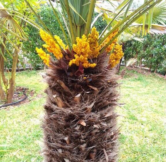 Villa Nathalie Marrakech