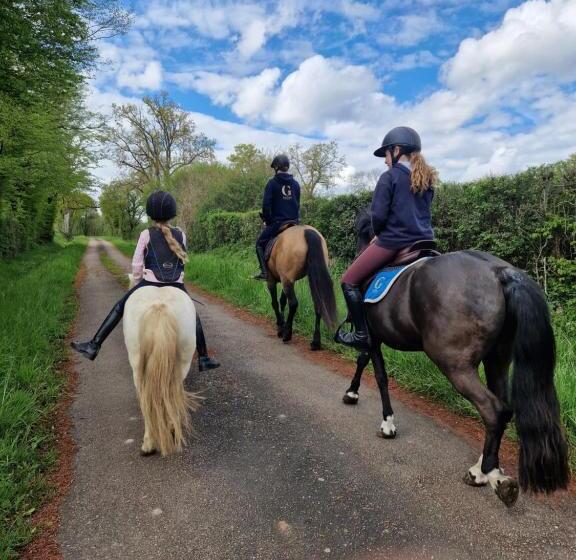 ベッドアンドブレックファースト Ferme équestre & Chambres D Hôtes Gateau Stables Proche Guédelon
