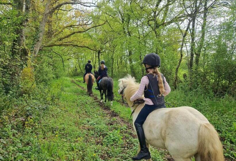 ベッドアンドブレックファースト Ferme équestre & Chambres D Hôtes Gateau Stables Proche Guédelon