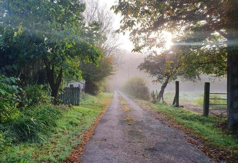 ベッドアンドブレックファースト Ferme équestre & Chambres D Hôtes Gateau Stables Proche Guédelon
