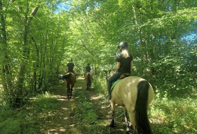 ベッドアンドブレックファースト Ferme équestre & Chambres D Hôtes Gateau Stables Proche Guédelon
