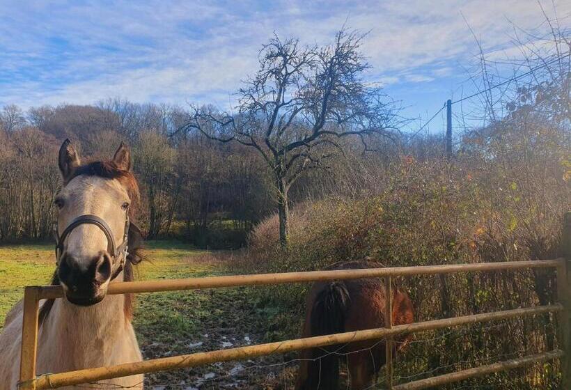 ベッドアンドブレックファースト Ferme équestre & Chambres D Hôtes Gateau Stables Proche Guédelon