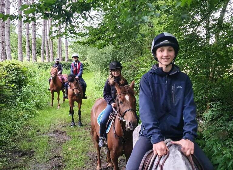 ベッドアンドブレックファースト Ferme équestre & Chambres D Hôtes Gateau Stables Proche Guédelon