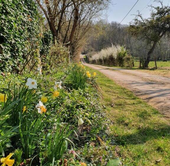 ベッドアンドブレックファースト Ferme équestre & Chambres D Hôtes Gateau Stables Proche Guédelon