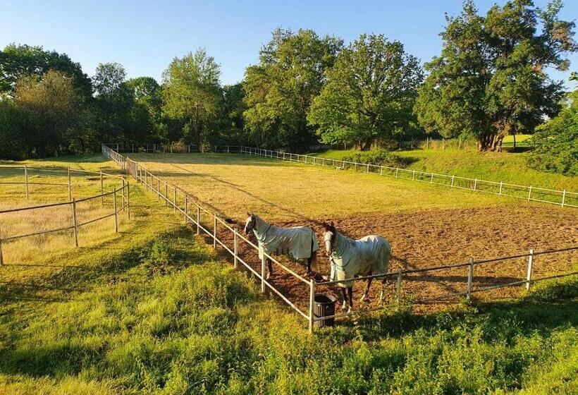 ベッドアンドブレックファースト Ferme équestre & Chambres D Hôtes Gateau Stables Proche Guédelon