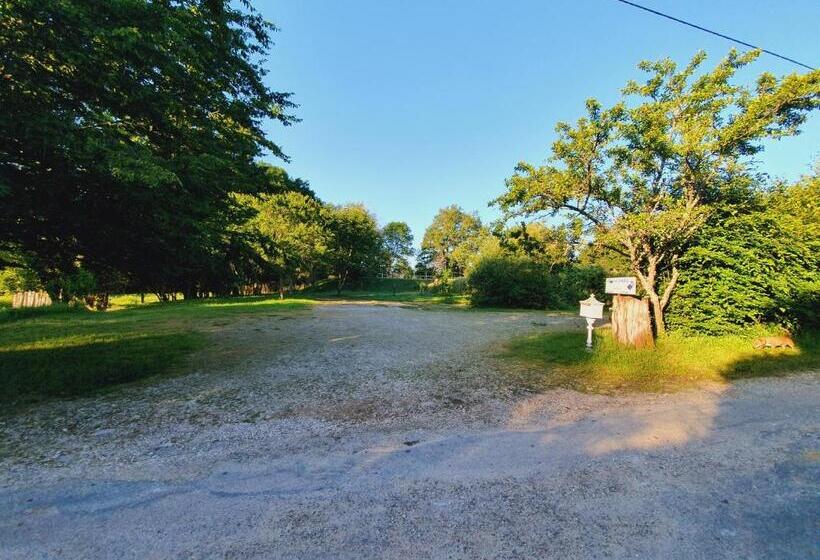 ベッドアンドブレックファースト Ferme équestre & Chambres D Hôtes Gateau Stables Proche Guédelon