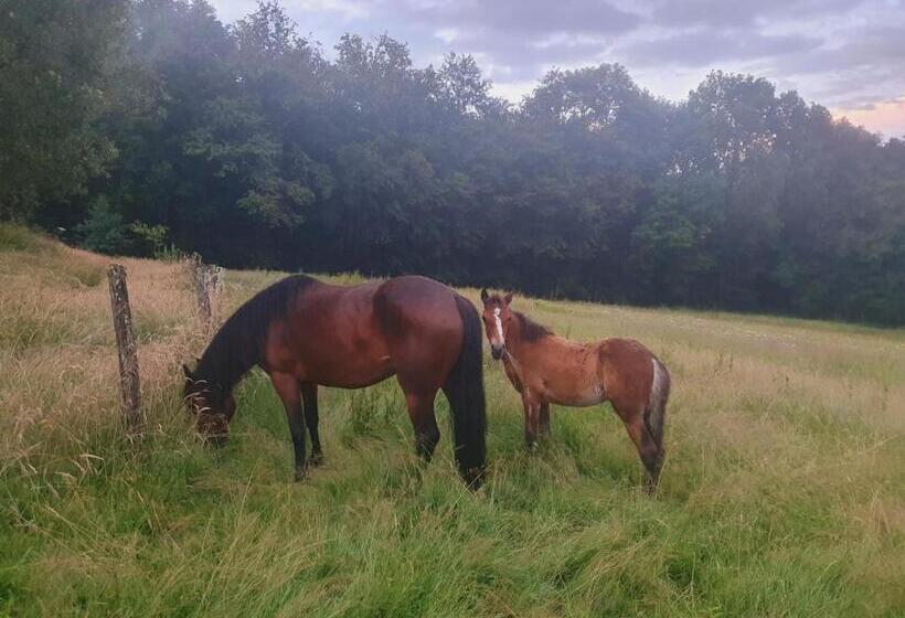 ベッドアンドブレックファースト Ferme équestre & Chambres D Hôtes Gateau Stables Proche Guédelon
