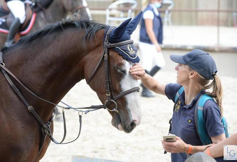 ベッドアンドブレックファースト Ferme équestre & Chambres D Hôtes Gateau Stables Proche Guédelon