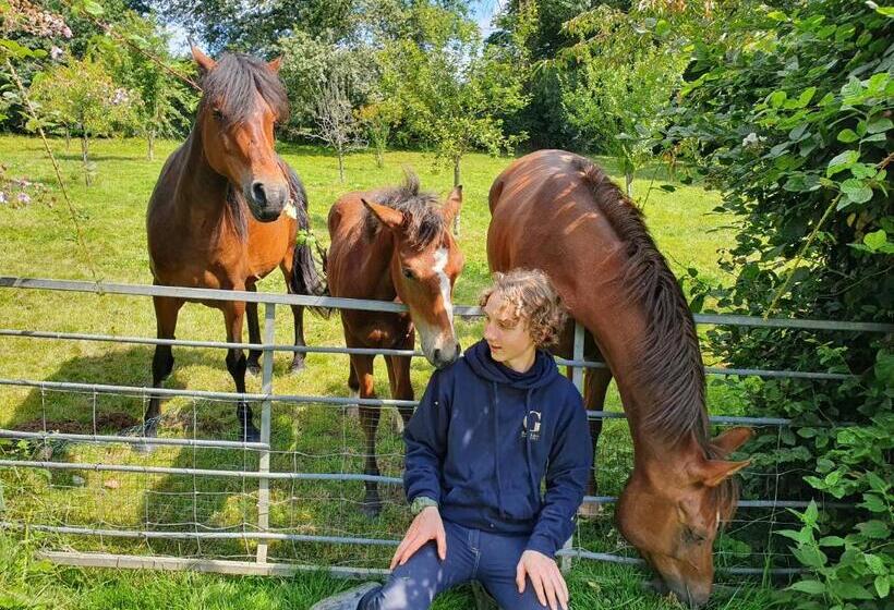 ベッドアンドブレックファースト Ferme équestre & Chambres D Hôtes Gateau Stables Proche Guédelon