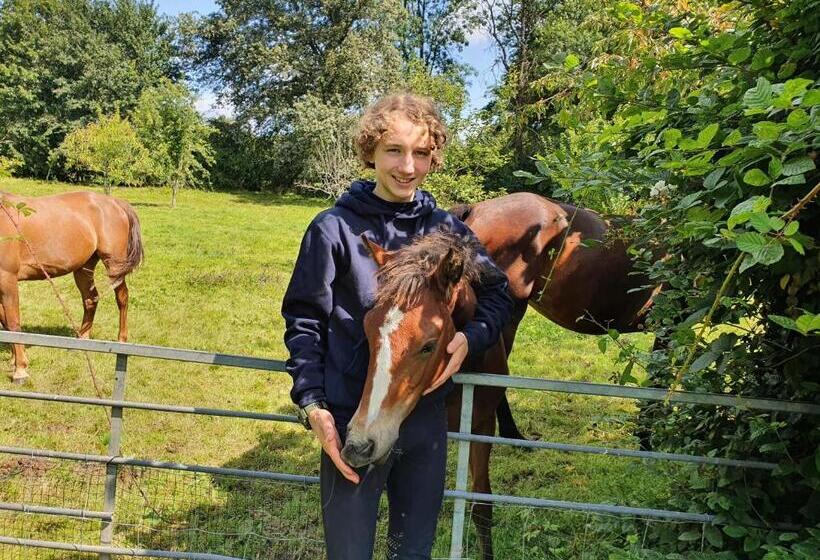 ベッドアンドブレックファースト Ferme équestre & Chambres D Hôtes Gateau Stables Proche Guédelon