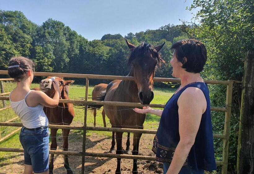 ベッドアンドブレックファースト Ferme équestre & Chambres D Hôtes Gateau Stables Proche Guédelon