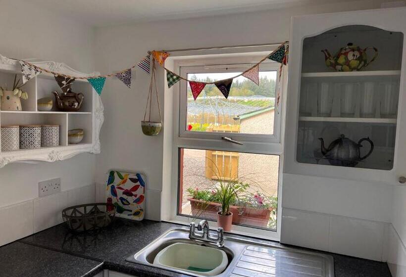 Berry View   Idyllic Cosy Cottage On Berry Farm