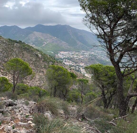 Central Apartment With A View