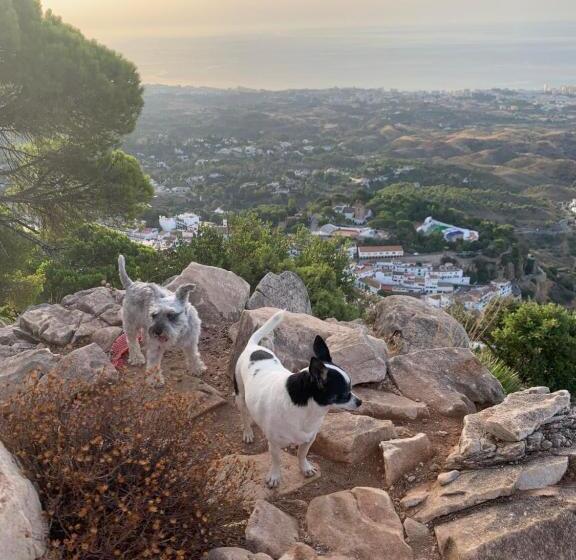 Central Apartment With A View