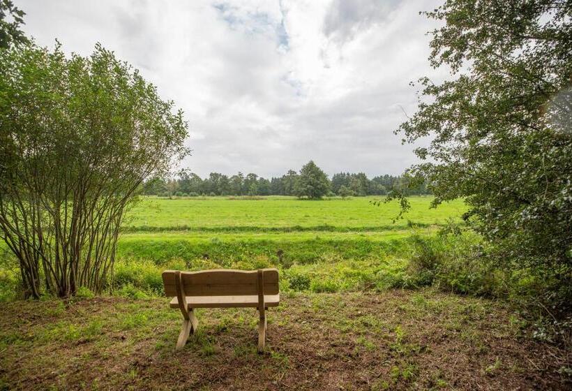 Erfgoed De Boemerang   Chalets
